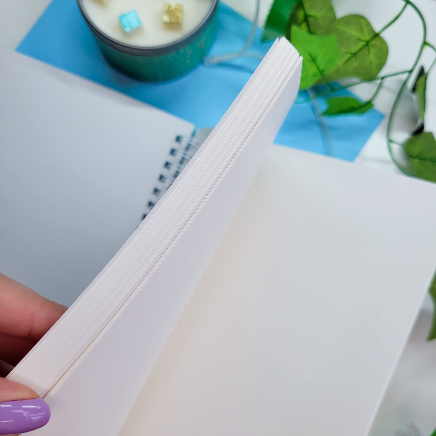 Reusable Sticker Book, Cute Dragons Forest Scene Sticker book